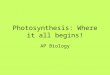Photosynthesis: Where it all begins! AP Biology Us versus Them Autotrophs make their own food (self- nourishing) Photoautotrophs use sunlight as the