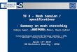 TF 8 - Mesh tension / specifications - Summary on mesh stretching options - Fabian Kuger 1, Esther Ferrer-Ribas 2, Mauro Iodice 3 1 Julius-Maximilians-Universitä