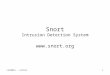Cs490ns - cotter1 Snort Intrusion Detection System