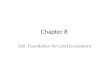 Chapter 8 Soil: Foundation for Land Ecosystems. SOIL AND PLANTS 8.1