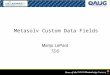 Metasolv Custom Data Fields Marijo LePard TDS. Overview Three major tools for customizable data fields  Value Labels  User Data  Custom Attributes