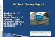 Analysis of Patient Experience of Cancer Care Pathway within Merseyside & Cheshire Produced by Merseyside and Cheshire Cancer Network Presented: November