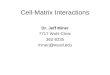 Cell-Matrix Interactions Dr. Jeff Miner 7717 Wohl Clinic 362-8235 minerj@wustl.edu
