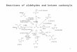 1 Reactions of aldehydes and ketone carbonyls. 2 Chapter 22: Carboxylic Acid Derivatives