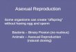 Asexual Reproduction Some organisms can create â€œoffspringâ€‌ without having egg and sperm Bacteria â€“ Binary Fission (no nucleus) Animals â€“ Asexual Reproduction