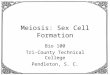 Meiosis: Sex Cell Formation Bio 100 Tri-County Technical College Pendleton, S. C