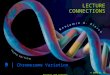LECTURE CONNECTIONS 9 | Chromosome Variation © 2009 W. H. Freeman and Company