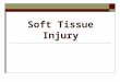 Soft Tissue Injury. Soft Tissues Injuries  They include skin, fatty tissue, muscles, blood vessels, fibrous tissues, membranes, glands and nerves