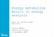 1 Energy metabolism Basics in energy analysis Prof. dr. Kornelis Blok @kornelisblok Lecture RENESY Industrial Ecology 17 September 2015