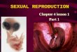 SEXUAL REPRODUCTION Chapter 4 lesson 1 Part 1. Reproduction of Organisms Why do living things reproduce?