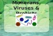 Monerans, Viruses & Protists. Compare and contrast the parts of plants, animals and one-celled organisms Identify similarities and differences among living