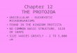 Chapter 12 THE PROTOZOA UNICELLULAR - EUCARYOTIC MICROORGANISMS FOUND IN THE KINGDOM PROTISTA NO COMMON BASIC STRUCTURE, SIZE OR SHAPE SIZE VARIES GREATLY