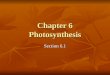Chapter 6 Photosynthesis Section 6.1. Energy Processes for Life Autotrophs manufacture their own food from inorganic substances Autotrophs manufacture