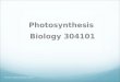 Prof. Dr. Samih Tamimi Bio 304101 Photosynthesis Biology 304101