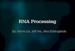 RNA Processing By: Kelvin Liu, Jeff Wu, Alex Eishingdrelo