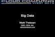 Big Data Mark Theissen CEO, Cirro, Inc. mtheissen@cirro.com