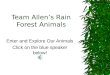 Team Allen’s Rain Forest Animals Enter and Explore Our Animals Click on the blue speaker below!