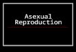 Asexual Reproduction. Mitosis is the basis of asexual reproduction Involves only one parent individual Results in genetically identical offspring: Clones