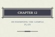 CHAPTER 12 DETERMINING THE SAMPLE PLAN. Important Topics of This Chapter Differences between population and sample. Sampling frame and frame error. Developing