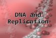 1 DNA and Replication. 2 History of DNA 3 Early scientists thought protein was the cell’s hereditary material because it was more complex than DNA Proteins