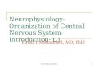 University of Jordan1 Neurophysiology- Organization of Central Nervous System- Introduction- L1 Faisal I. Mohammed, MD, PhD