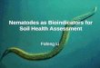 Nematodes as Bioindicators for Soil Health Assessment Fafeng Li