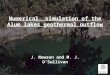 Numerical simulation of the Alum lakes geothermal outflow J. Newson and M. J. O’Sullivan