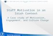 Realising potential Delivering the Vision of the Irish Prison Service Staff Motivation in an Irish Context A Case study of Motivation, Engagement, and