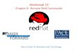 Workbook 10 Chapter 8. Remote Shell Commands Pace Center for Business and Technology 1