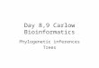Day 8,9 Carlow Bioinformatics Phylogenetic inferences Trees