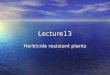 Lecture13 Herbicide resistant plants. The Roundup Ready Story Glyphosate is a broad-spectrum herbicide Active ingredient in Roundup herbicide Kills