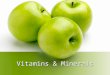 Vitamins & Minerals. FoodsWater Soluble Vitamins Fat Soluble Vitamins Major Minerals Wild Card 100 200 300 400 500