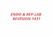 ENDO & REP LAB REVISION 1431. Pituitary Adenoma Circumscribed mass in sella turcica
