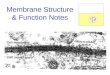 Membrane Structure & Function Notes. About Cell Membranes 1.All cells have a cell membrane 2.Functions: a.Controls what enters and exits the cell b.Maintain