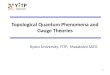 1 Topological Quantum Phenomena and Gauge Theories Kyoto University, YITP, Masatoshi SATO