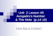 Unit 2 Lesson #5 Avogadro’s Number & The Mole (p.14-16) How Big is A Mole?