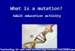 What is a mutation? Adult education activity 