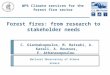 Forest fires: from research to stakeholder needs C. Giannakopoulos, M. Hatzaki, A. Karali, A. Roussos, E. Athanasopoulou WP6 Climate services for the forest