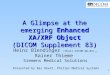 1 A Glimpse at the emerging Enhanced XA/XRF Object (DICOM Supplement 83) Heinz Blendinger (Chair DICOM WG-02), Rainer Thieme Siemens Medical Solutions