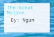 The Great Marine By: Ngun. About The Marine Biome The Marine biome covers about 70% of the world. It covers five oceans, which are the Pacific, Atlantic,