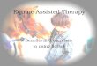 Equine Assisted Therapy Benefits and exercises to using horses