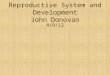 Reproductive System and Development John Donovan 4/9/12