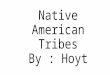 Native American Tribes By : Hoyt. The Inuit Tribe The Inuit tribe lives in the arctic where the climate is very cold and snowy. CLIMATE/REGION The Inuit