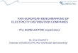 PAN-EUROPEAN BENCHMARKING OF ELECTRICITY DISTRIBUTION COMPANIES - The EURELECTRIC experience Mr. Otso KUUSISTO Chairman of EURELECTRIC WG “Distribution