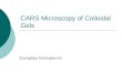 CARS Microscopy of Colloidal Gels Evangelos Gatzogiannis