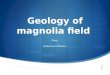 Geology of magnolia field Name Institutional affiliation
