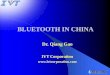 Dr. Qiang Gao IVT Corporation  BLUETOOTH IN CHINA