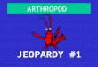 ARTHROPOD JEOPARDY #1 S2C06 Jeopardy Review Body Systems CrustaceansArachnids Arthropods Arthropods Picture ID 100 200 300 400 500