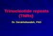 Trinucleotide repeats (TNRs) Dr. Derakhshandeh, PhD