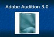 Adobe Audition 3.0. System Requirements Intel® Pentium 4, Intel Centrino, Intel Xeon, or Intel Coreâ„¢ Duo or compatible processor Intel® Pentium 4, Intel